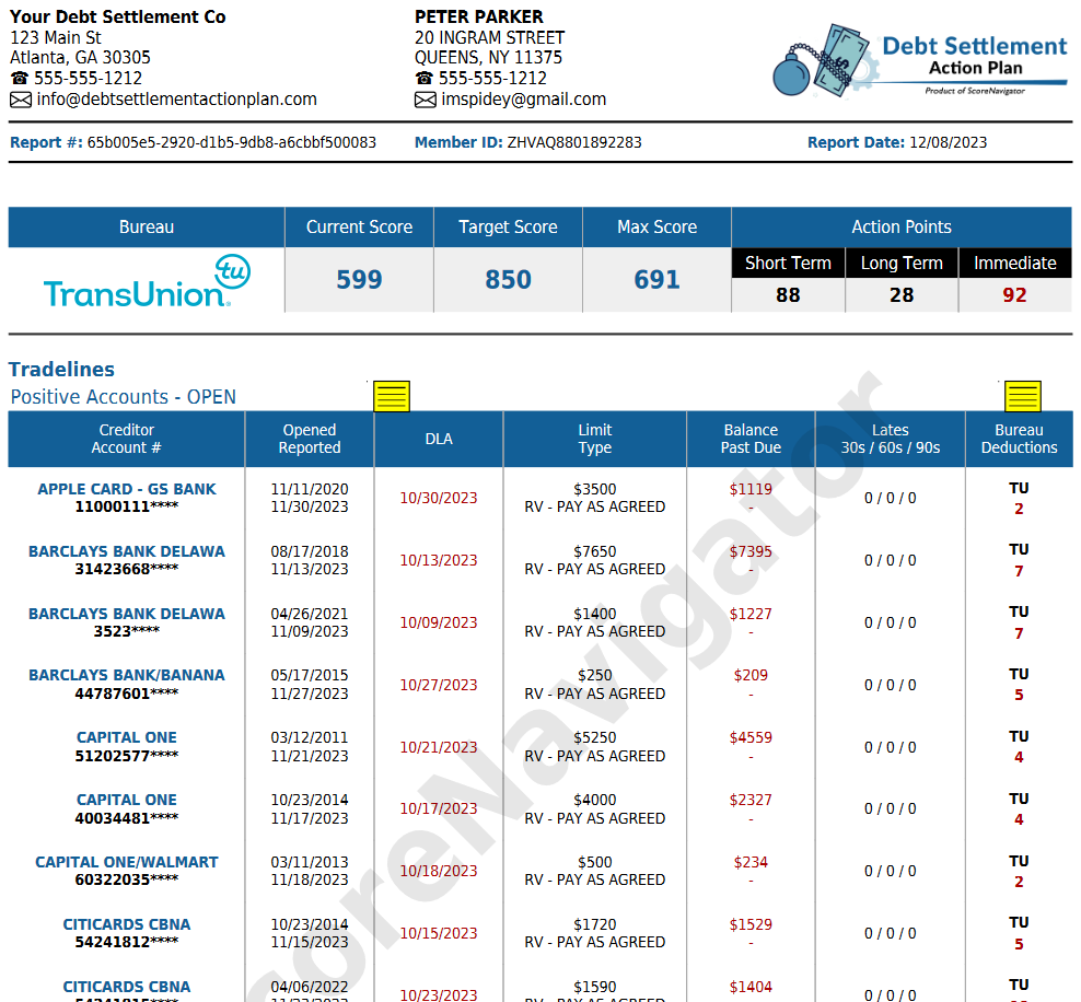 Tradelines Report